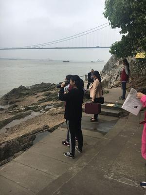 远眺江尾海头美景.jpg